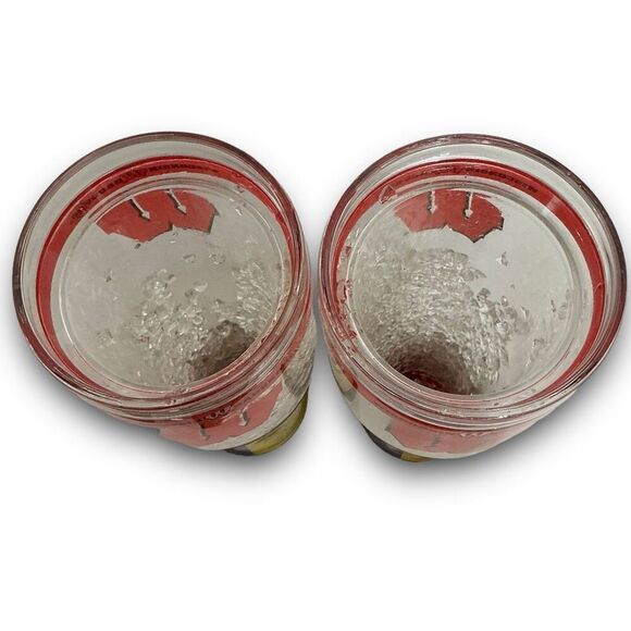 2 Officially Licensed Wisconsin Badgers 16 Ounce Freezable Pilsner Cups - Picture 4 of 8